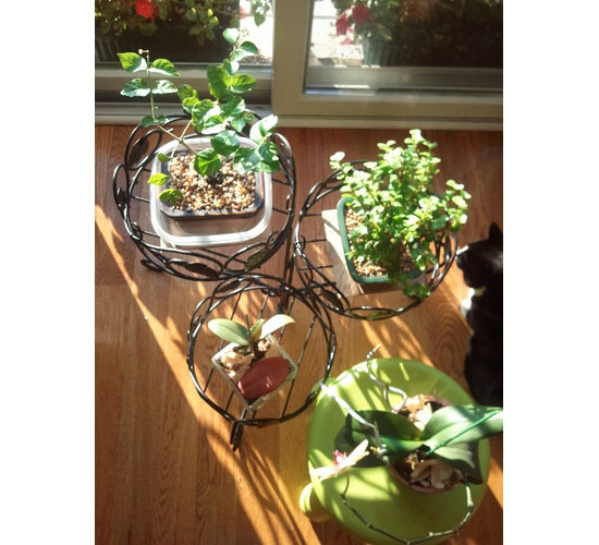 Decorate Your Garden With A Three Tiered Folding And Ivy Plant Stand